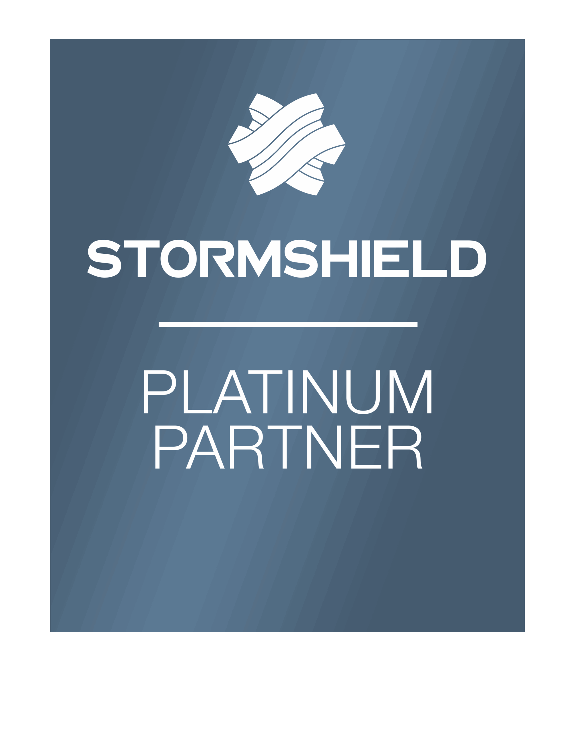 Stormshield Logo Platinum Partner